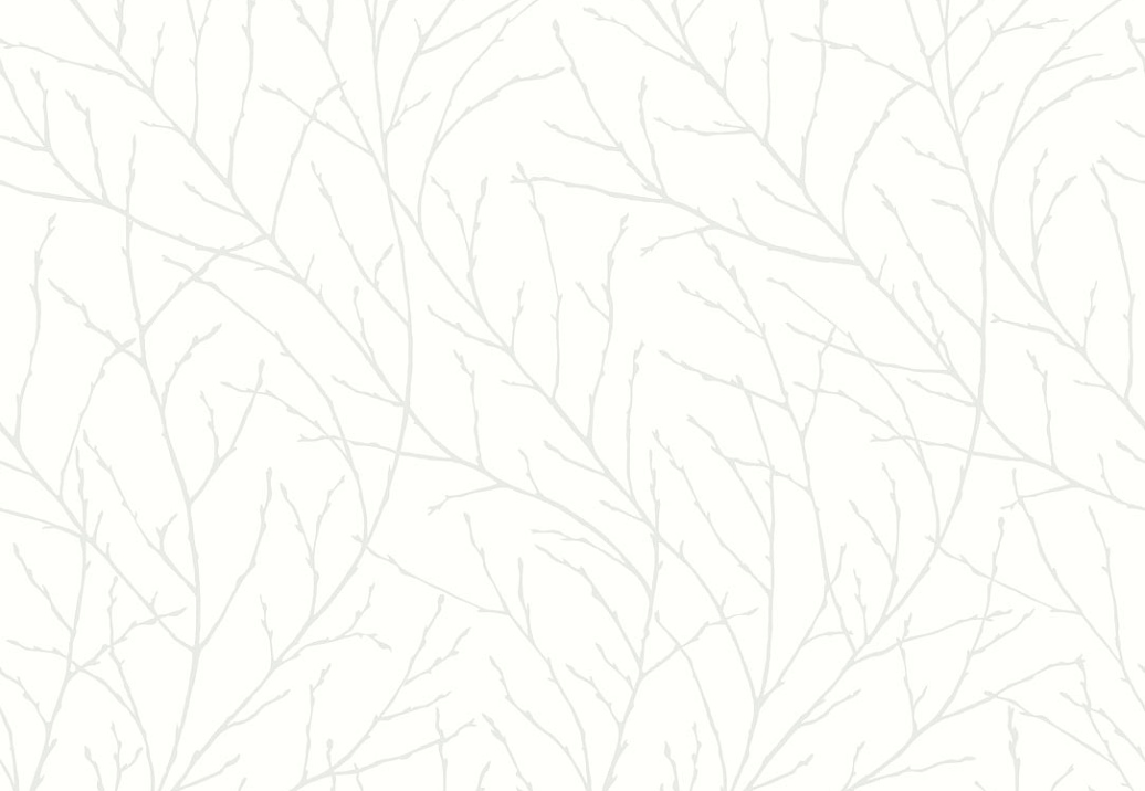 Обои Eco White & Light (Engblad & Co) 7177