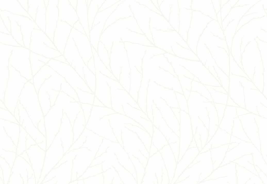 Обои Eco White & Light (Engblad & Co) 7178