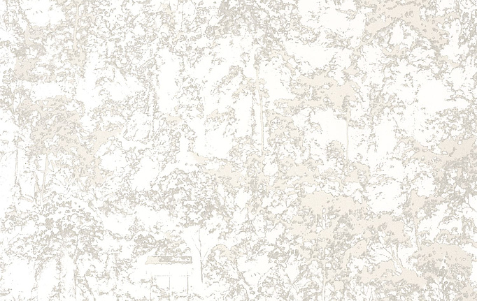 Французские обои Casadeco, коллекция So White 4, артикул SWHT82640232