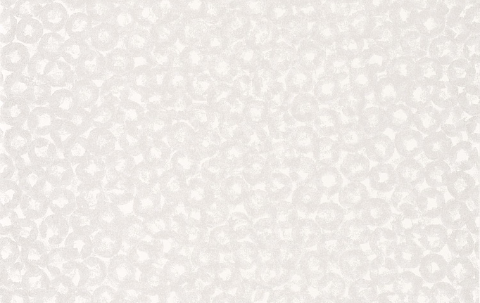 Французские обои Casadeco, коллекция So White 4, артикул SWHT84540208