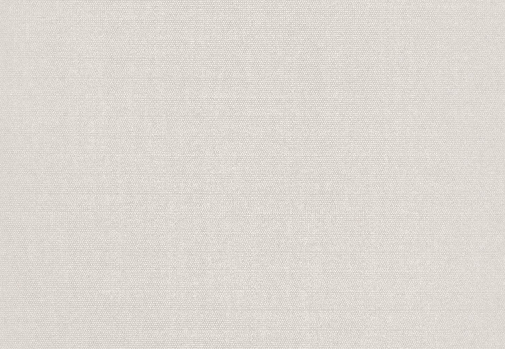 Обои Casadeco So White 4 SWHT82071405