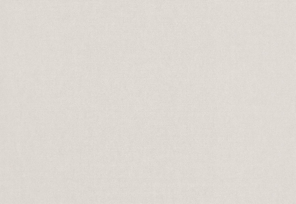 Обои Casadeco So White 4 SWHT82071405