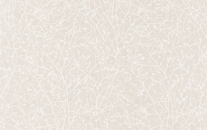 Французские обои Casadeco, коллекция So White 4, артикул SWHT83771122