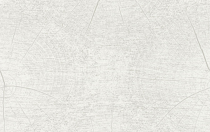 Французские обои Casadeco, коллекция So White 4, артикул SWHT83760101