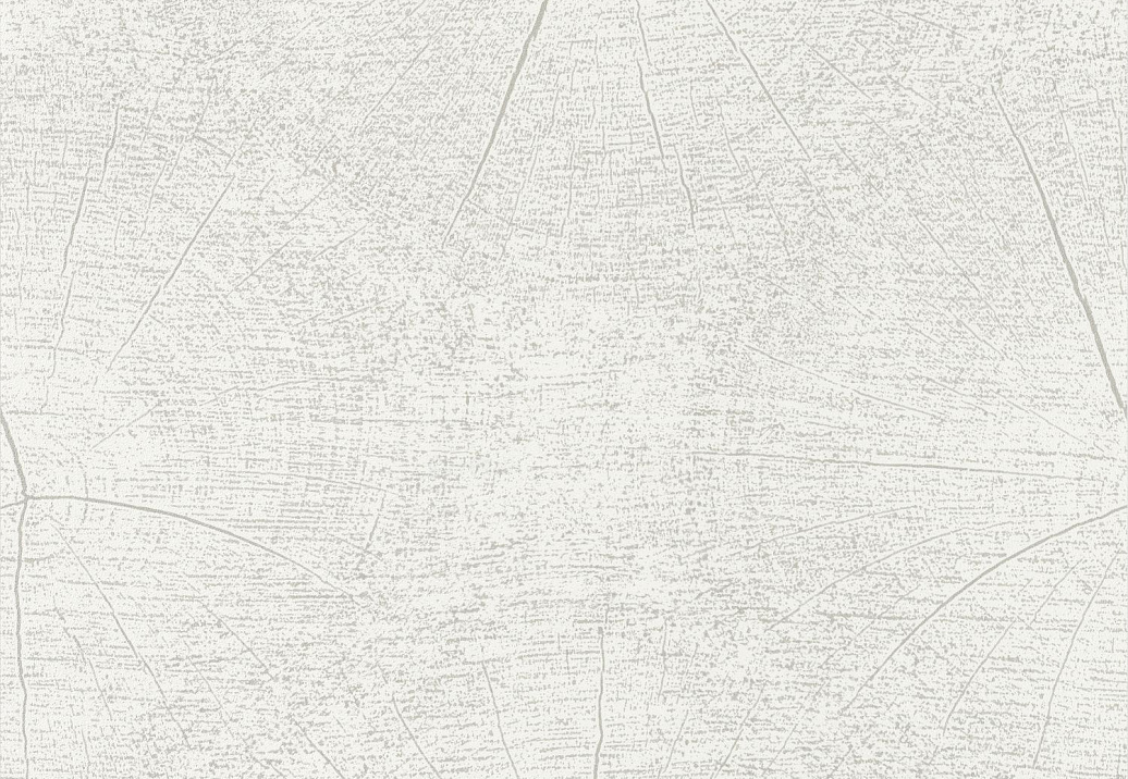 Обои Casadeco So White 4 SWHT83760101