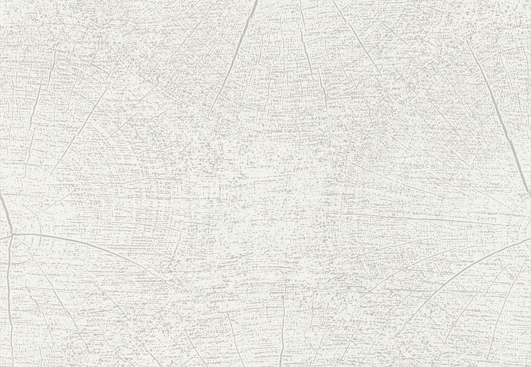 Обои Casadeco So White 4 SWHT83760101