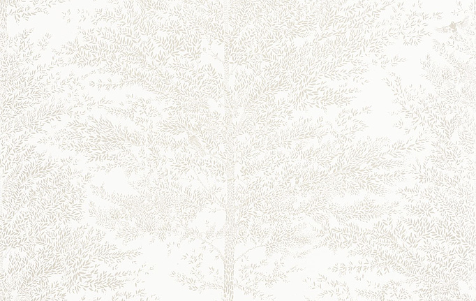 Французские обои Casadeco, коллекция So White 4, артикул SWT101800021