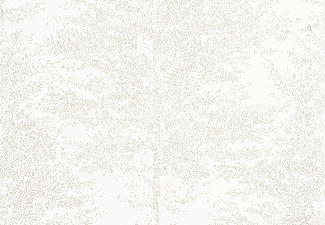 Обои Casadeco So White 4 SWT101800021