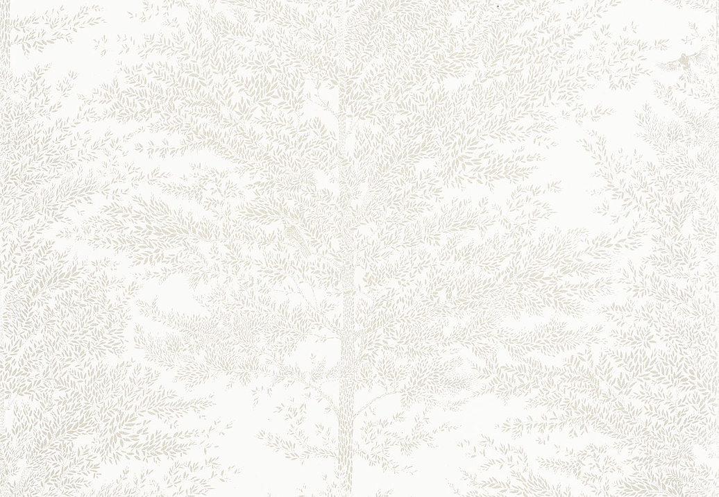 Обои Casadeco So White 4 SWT101800021
