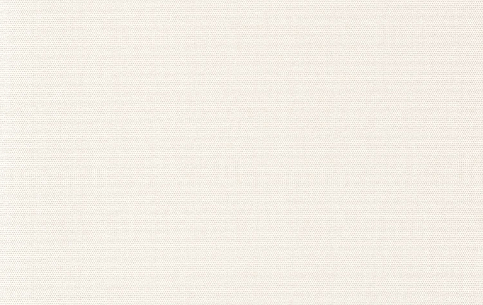 Французские обои Casadeco, коллекция So White 4, артикул SWHT82071564