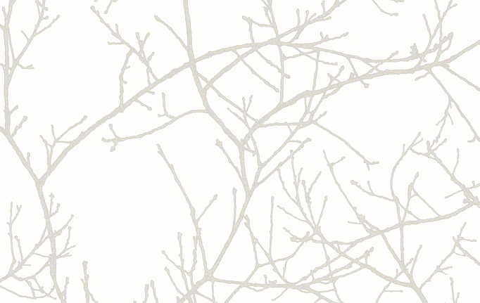 Французские обои Casadeco, коллекция So White 4, артикул SWHT16960212