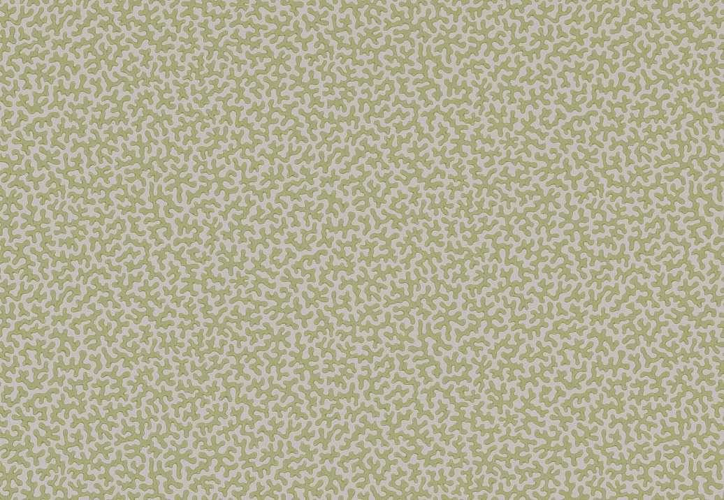 Обои Colefax and Fowler Small Design Wallpapers II W7014-03