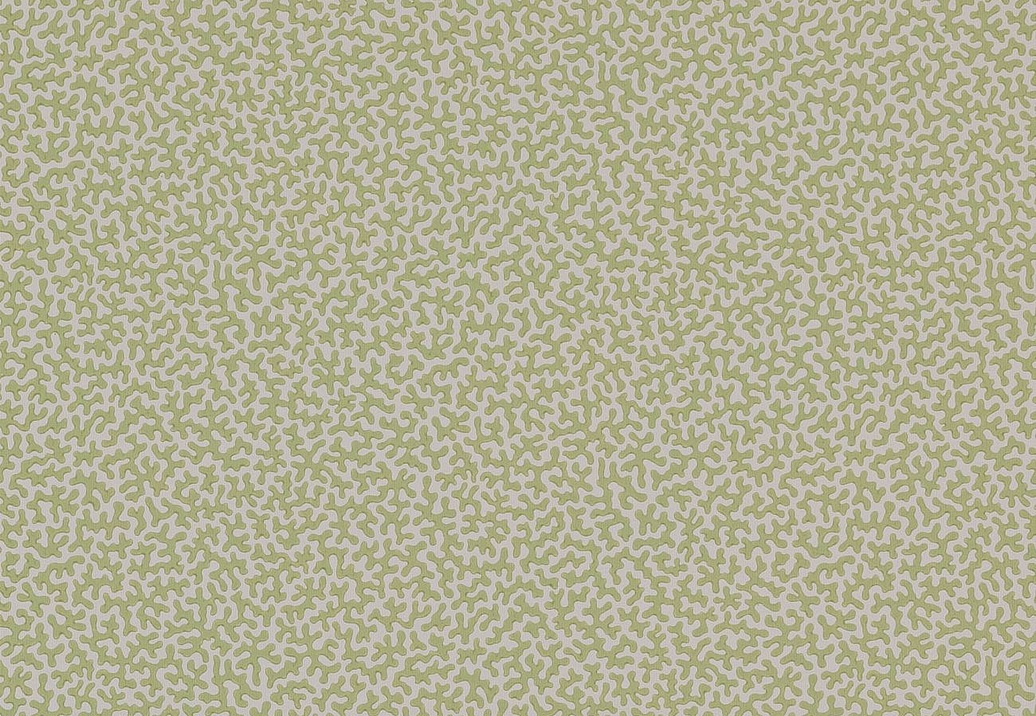 Обои Colefax and Fowler Small Design Wallpapers II W7014-03