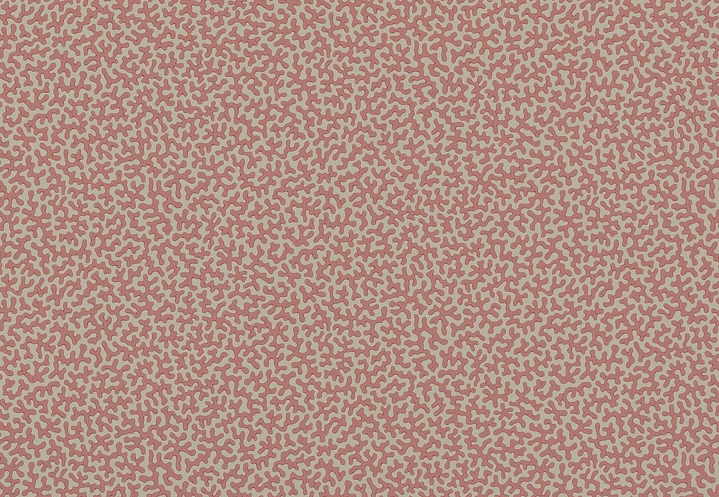 Обои Colefax and Fowler Small Design Wallpapers II W7014-05