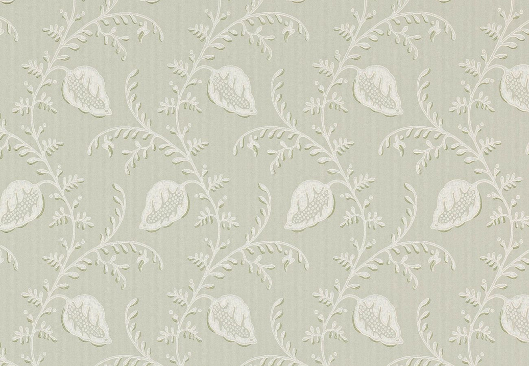 Обои Colefax and Fowler Small Design Wallpapers II W7009-01