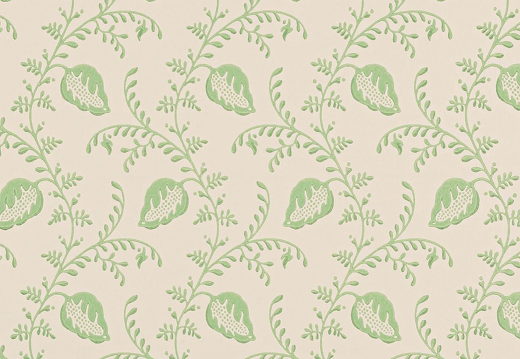 Обои Colefax and Fowler Small Design Wallpapers II W7009-04