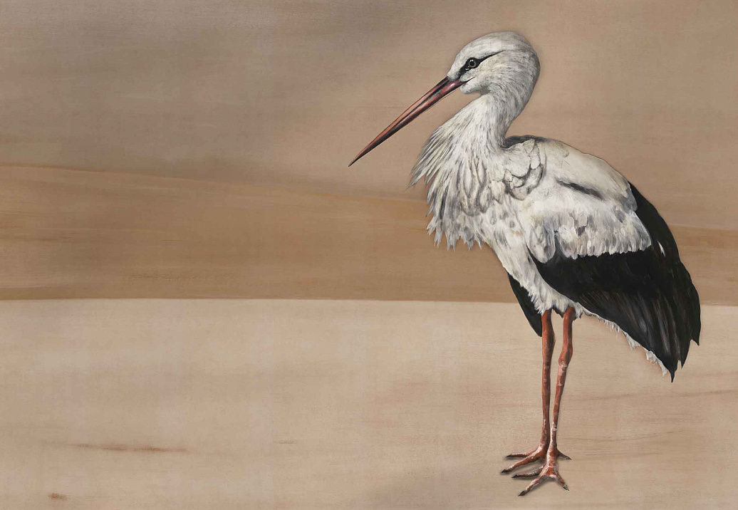 Панно и фотообои Coordonne Naturae 9500301V