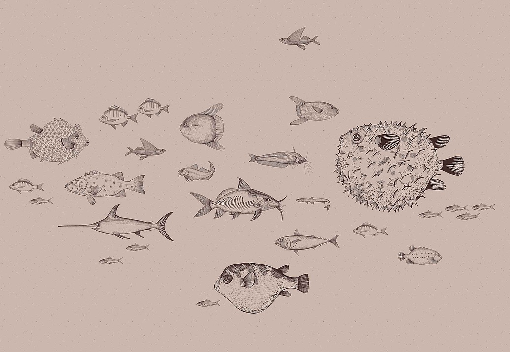 Панно и фотообои Coordonne Naturae 9500600V