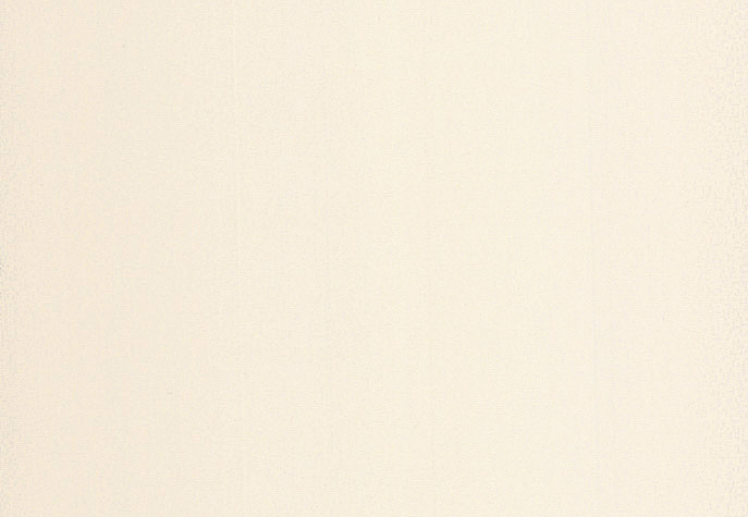 Обои Chelsea Decor Vision DL22825