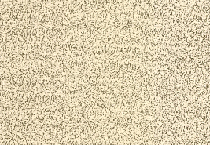 Обои Chelsea Decor Vision DL22841