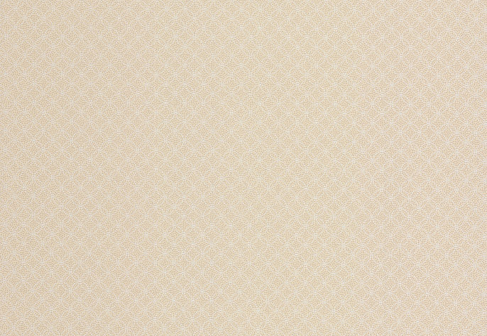 Обои Chelsea Decor Vision DL22845