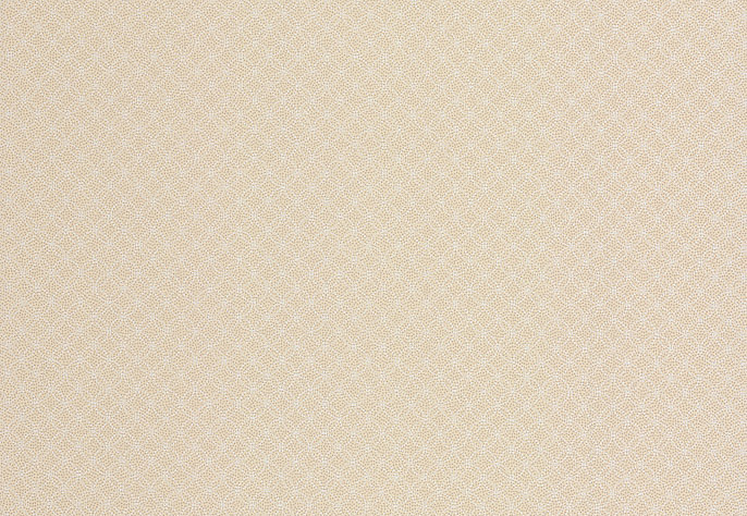 Обои Chelsea Decor Vision DL22845