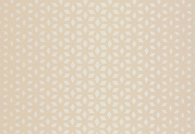 Обои Chelsea Decor Vision DL22849