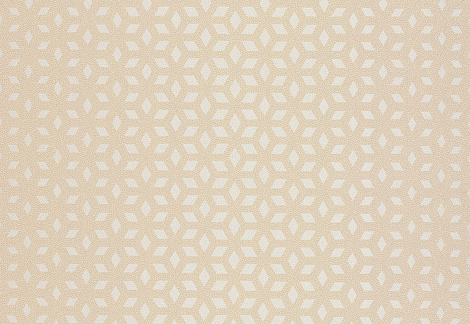 Обои Chelsea Decor Vision DL22849