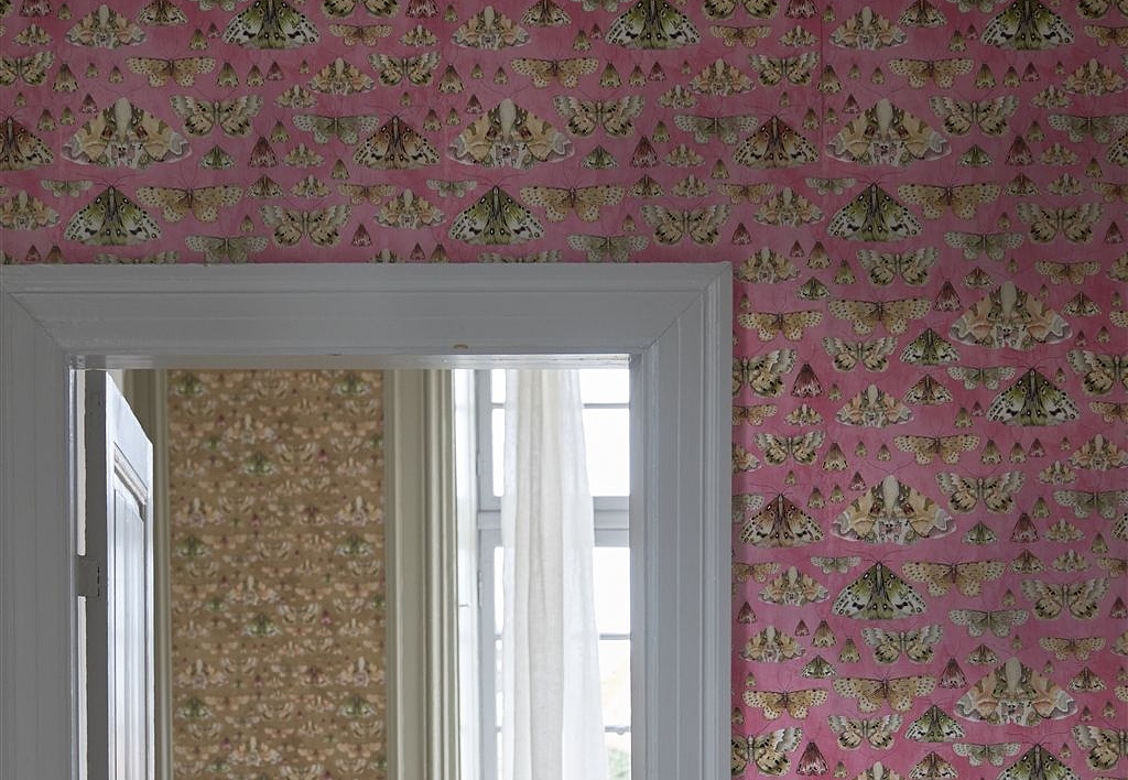 Обои Designers Guild Jardin Des Plantes PDG713/03