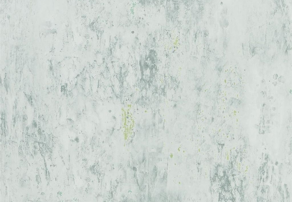 Обои Designers Guild Jardin Des Plantes PDG716/04