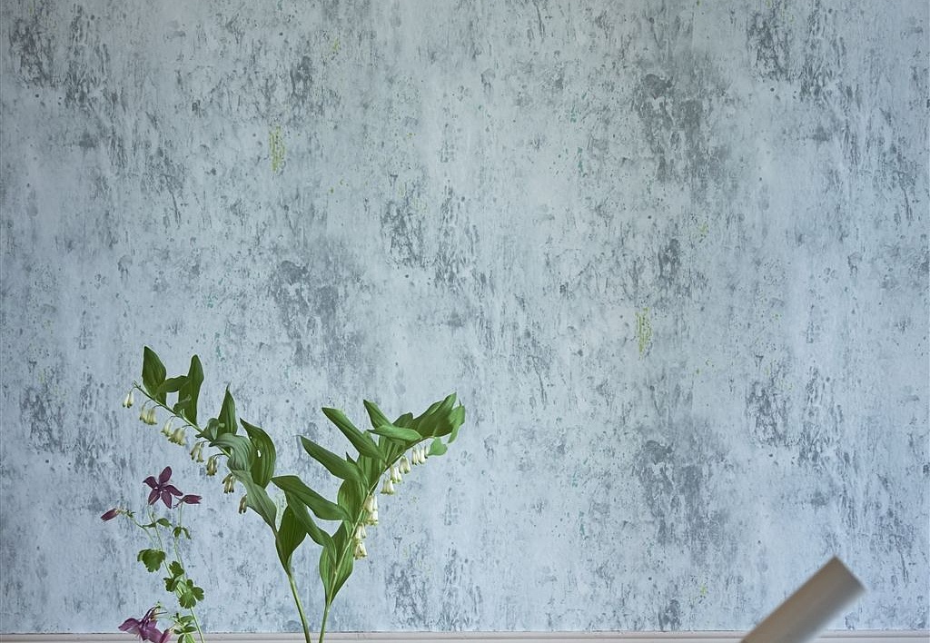 Обои Designers Guild Jardin Des Plantes PDG716/05