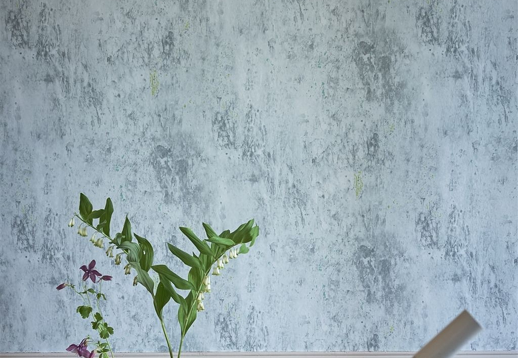 Обои Designers Guild Jardin Des Plantes PDG716/05