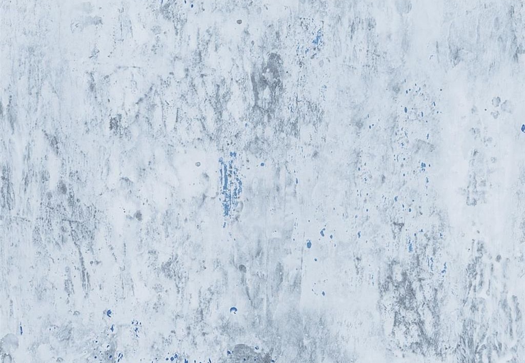 Обои Designers Guild Jardin Des Plantes PDG716/05