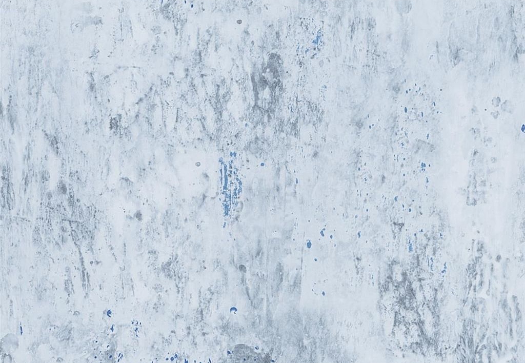 Обои Designers Guild Jardin Des Plantes PDG716/05
