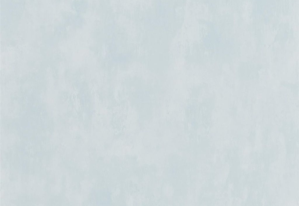 Обои Designers Guild Parchment PDG719/24