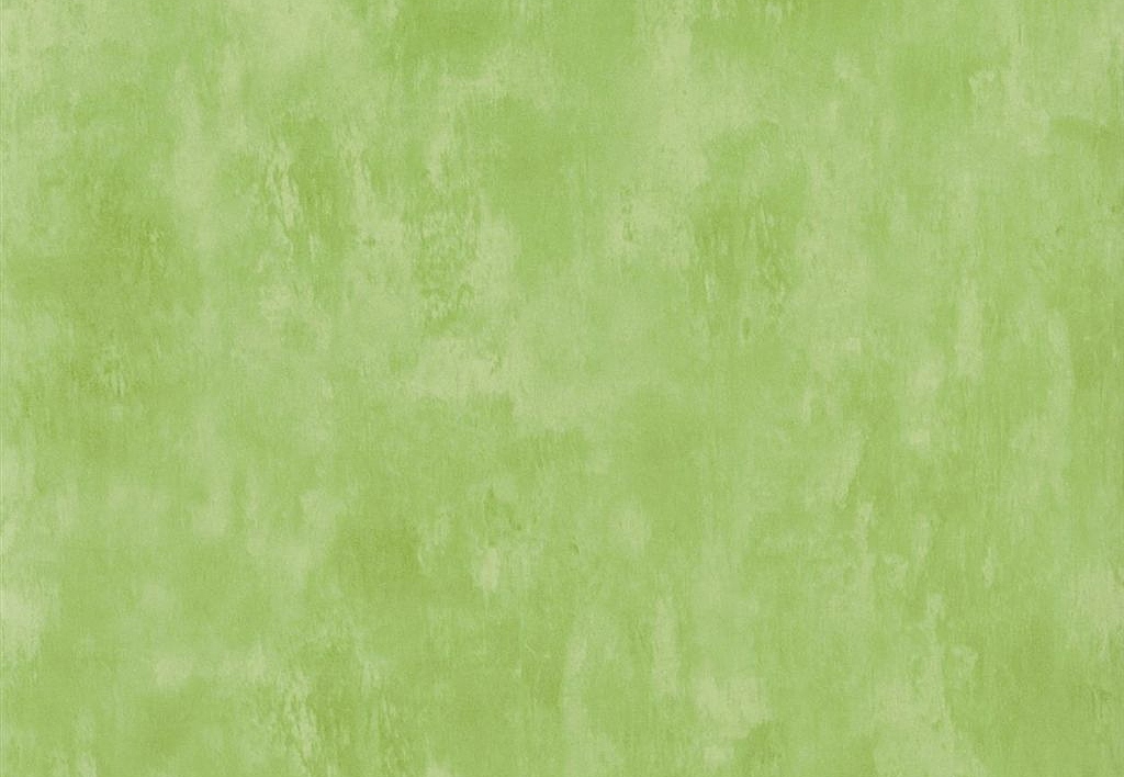 Обои Designers Guild Parchment PDG719/27