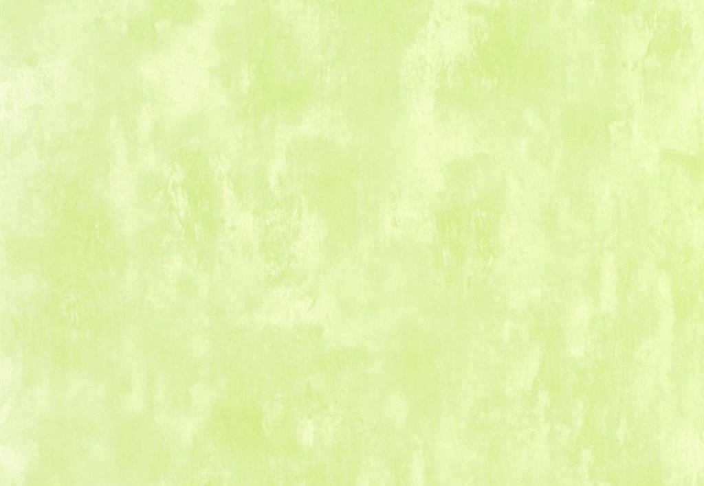 Обои Designers Guild Parchment PDG719/28