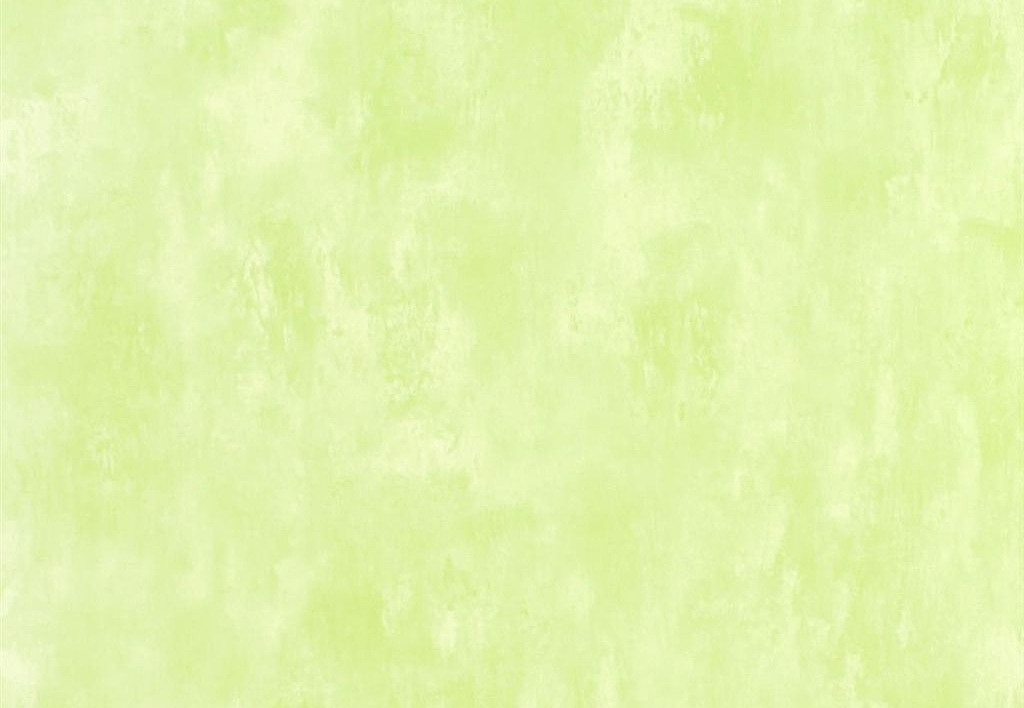 Обои Designers Guild Parchment PDG719/28