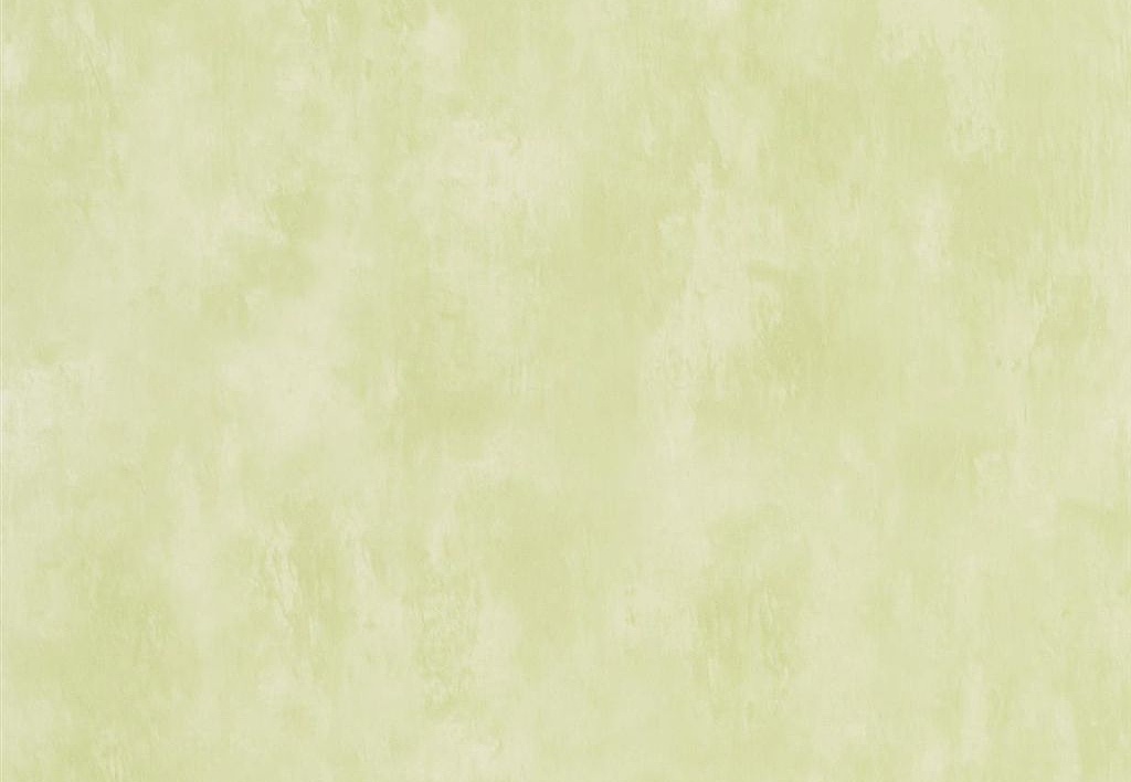 Обои Designers Guild Parchment PDG719/31