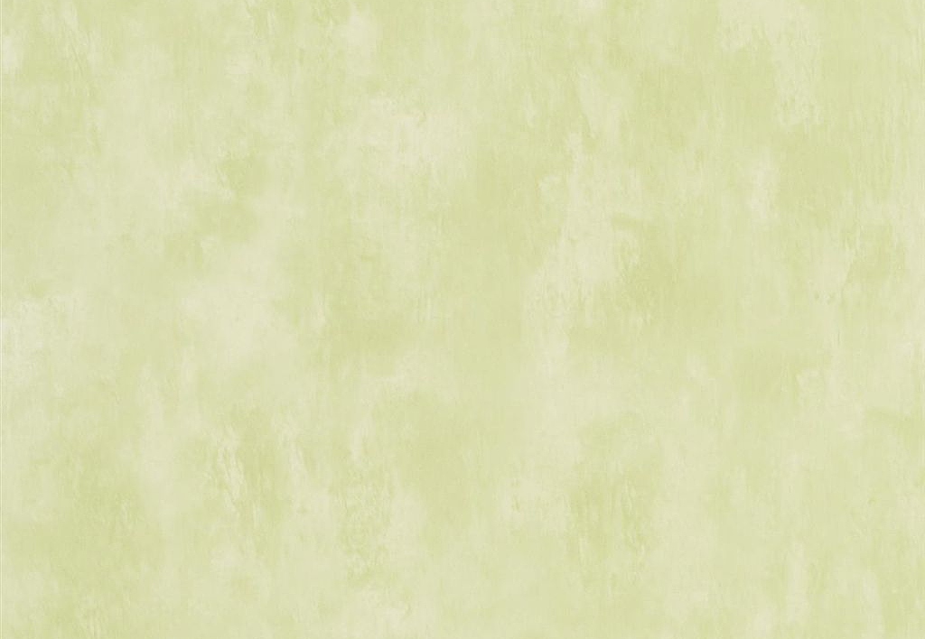 Обои Designers Guild Parchment PDG719/31