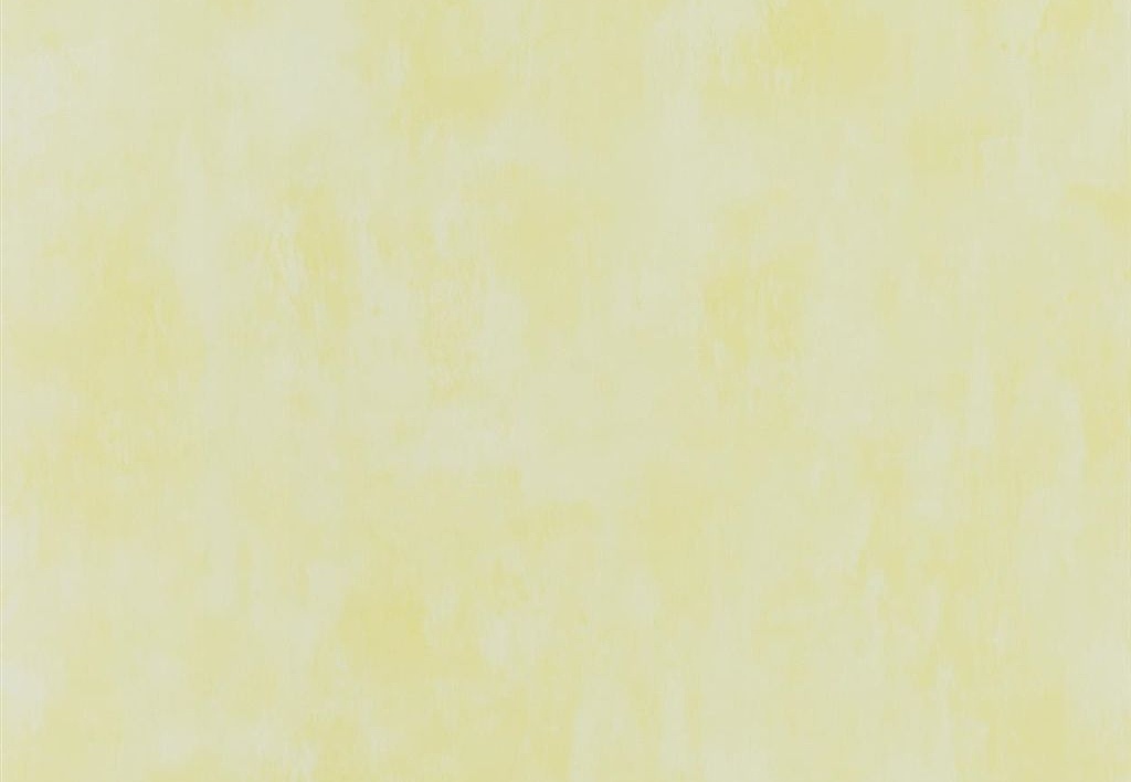 Обои Designers Guild Parchment PDG719/33