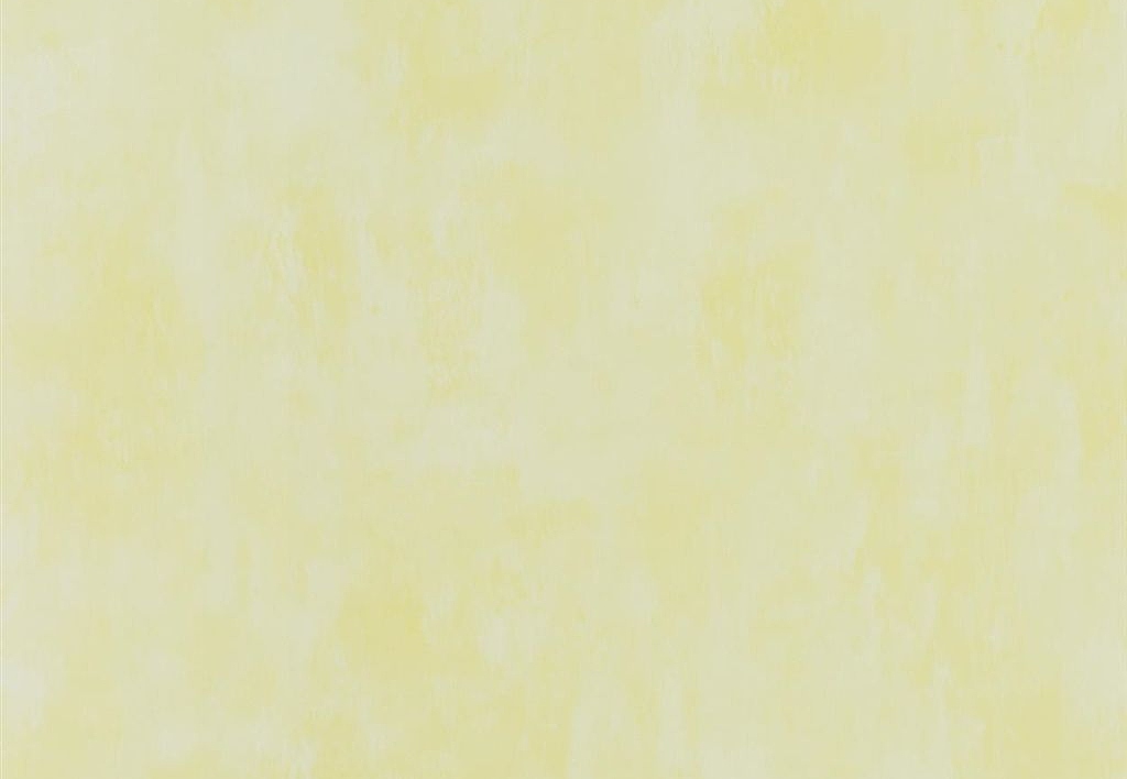 Обои Designers Guild Parchment PDG719/33