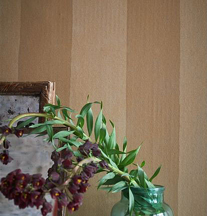 Обои Designers Guild Parchment PDG720/03