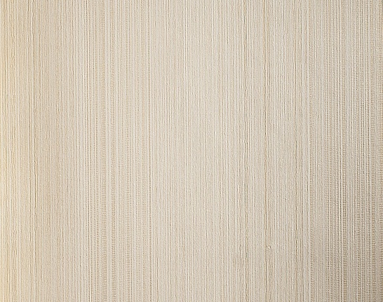 Обои Etten Century 1223103