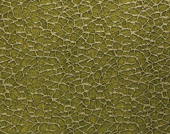 Обои Giardini Surfaces CR004 org