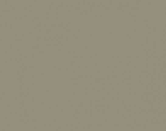 Обои Prospero Raw Elegance 343-345707