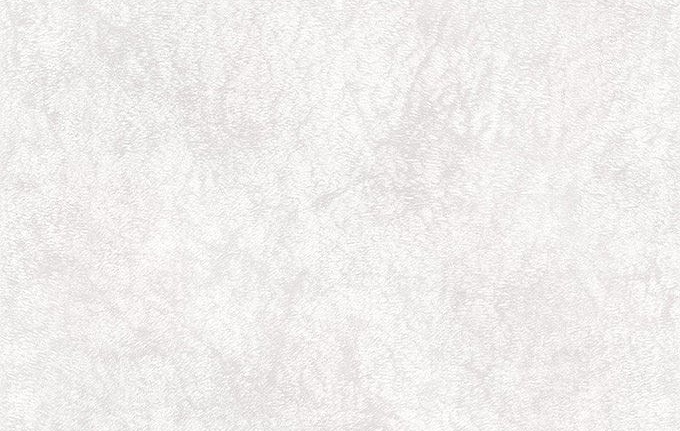 Обои Decoprint Selena SL18120