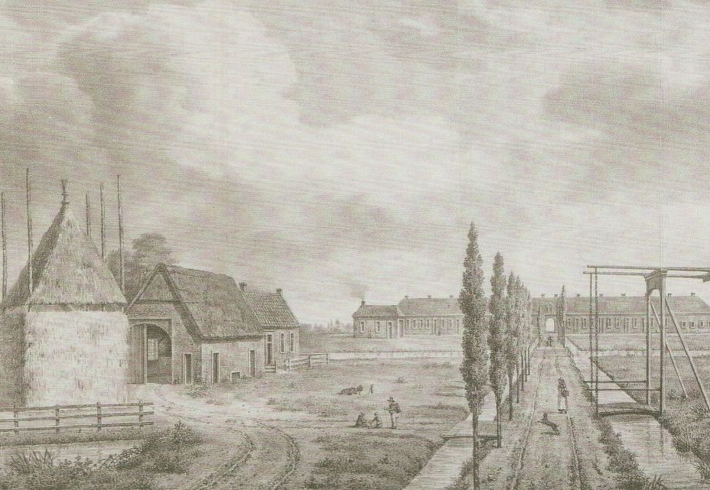 Панно и фотообои Aquarelle Juno 96818