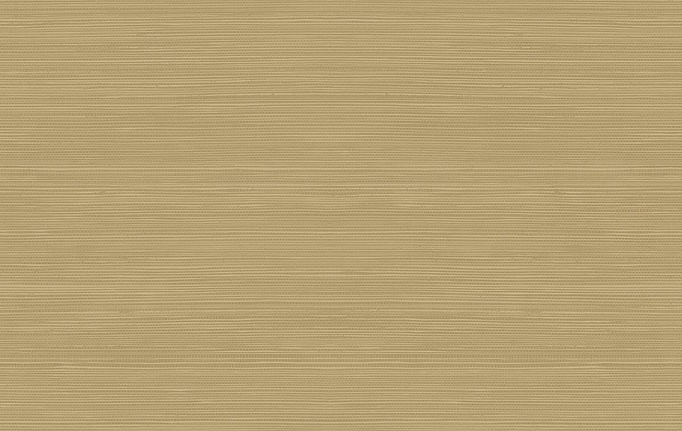 Американские обои Jaima Brown, коллекция Woodlands Resource, артикул JB22315