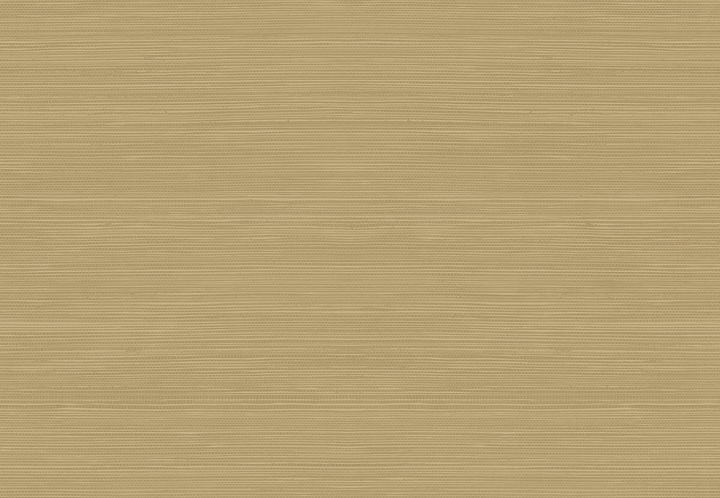 Обои Jaima Brown Woodlands Resource JB22315